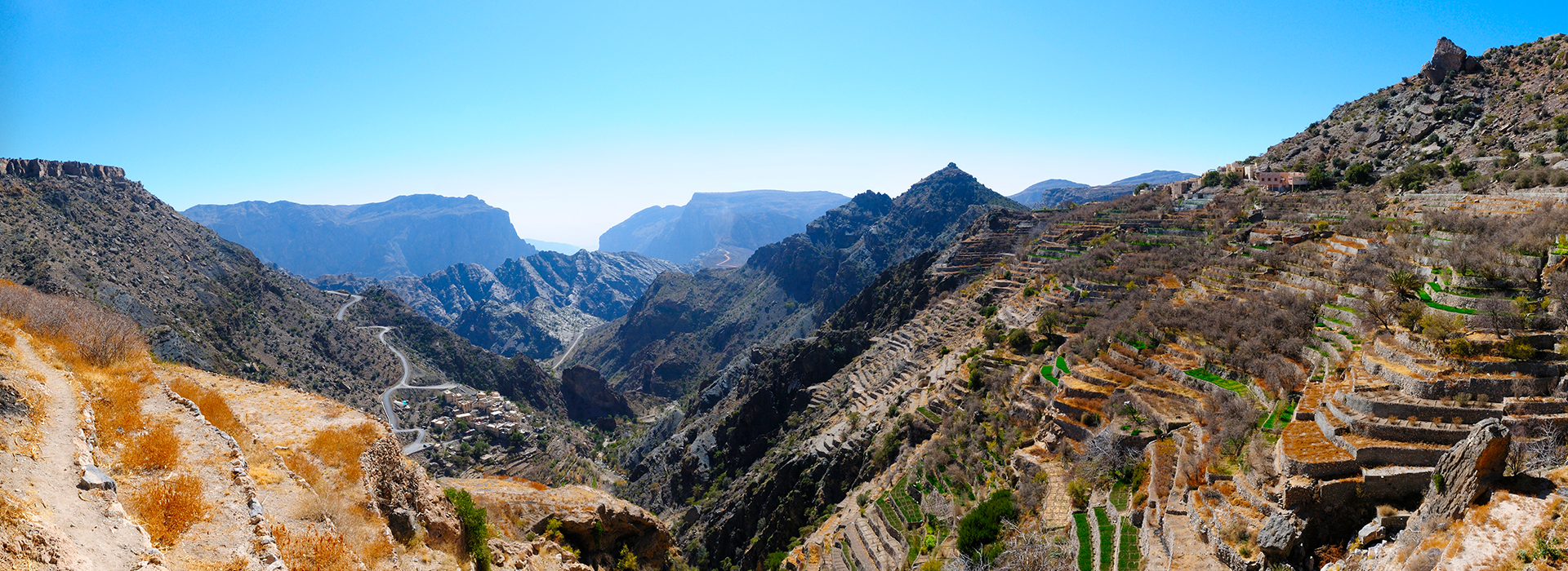 شركة المتحد العالمية للإستثمار والتطوير