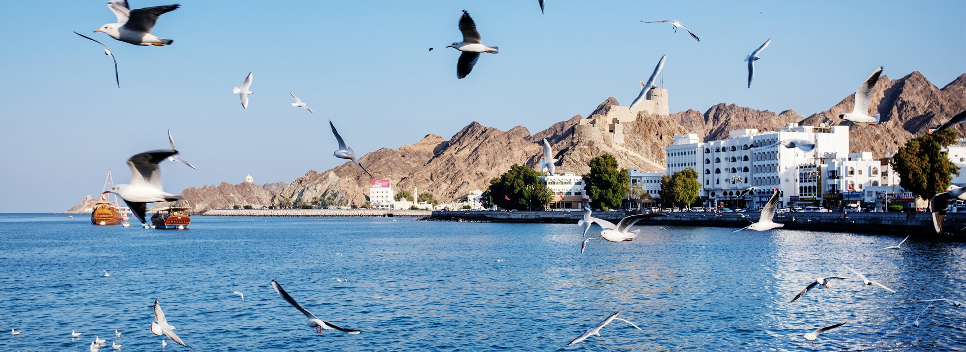 شركة المتحد العالمية للإستثمار والتطوير